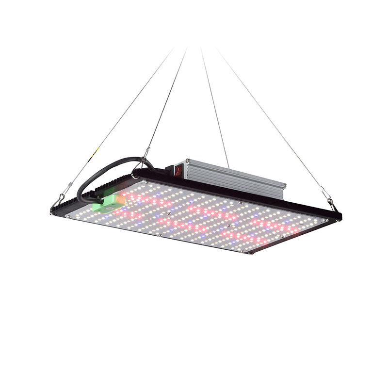 Grow Light Led - Światło LED Quantum-Board do uprawy roślin,