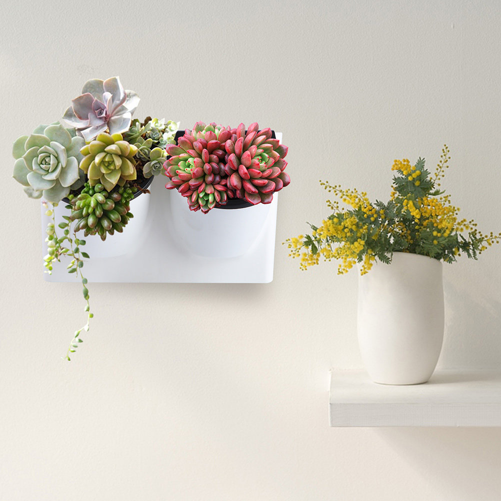 Self Watering Planter - Samonawadniająca się doniczka na kwiaty, plastikowa