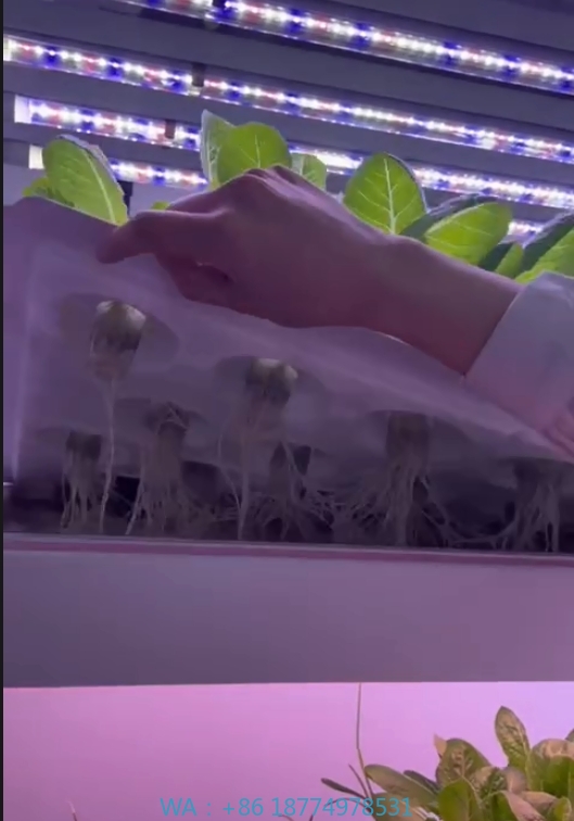 Hydroponic Tower - System hydroponiczny wieżowy do uprawy w