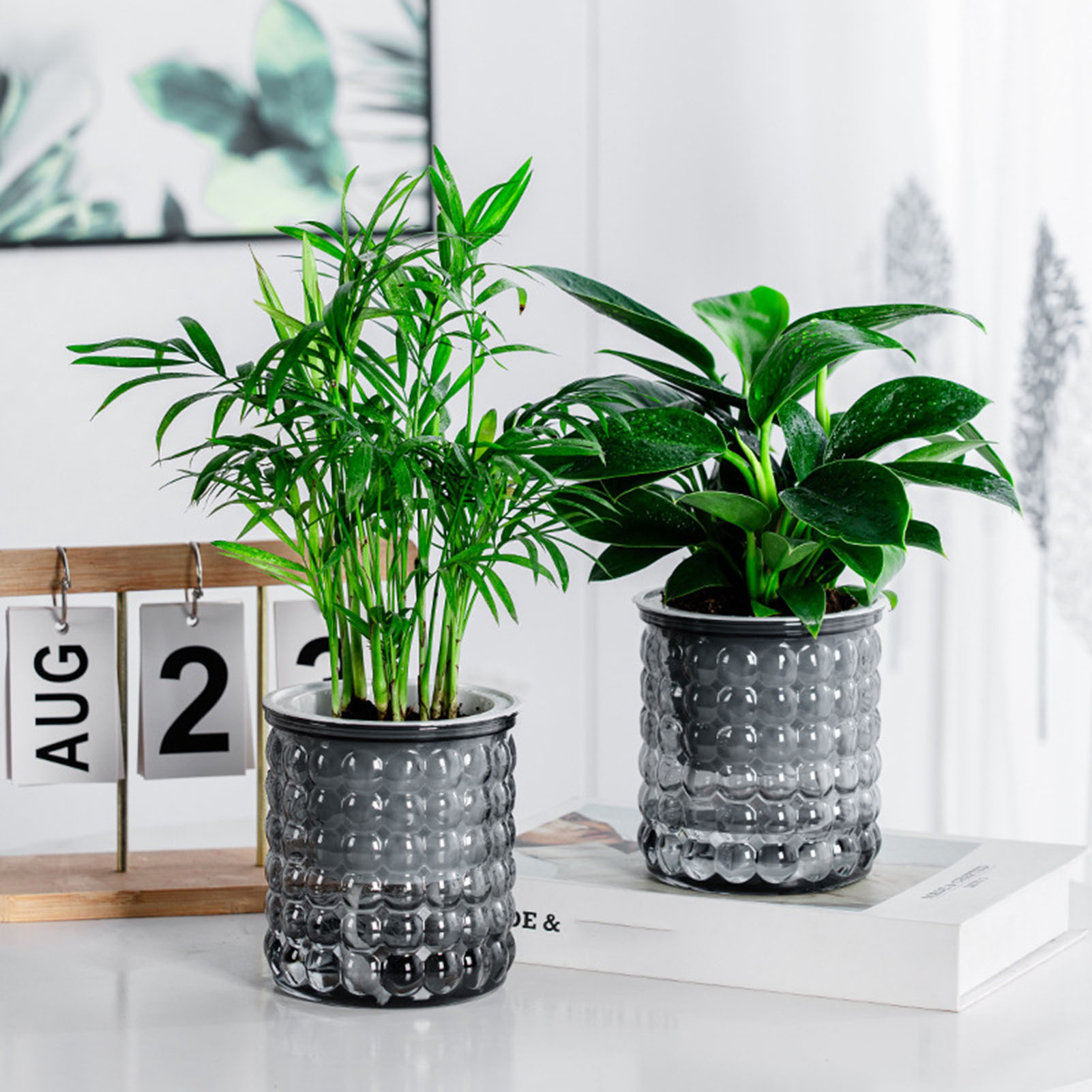Hydroponic Grow Pod - Nowa samonawadniająca się doniczka do roślin