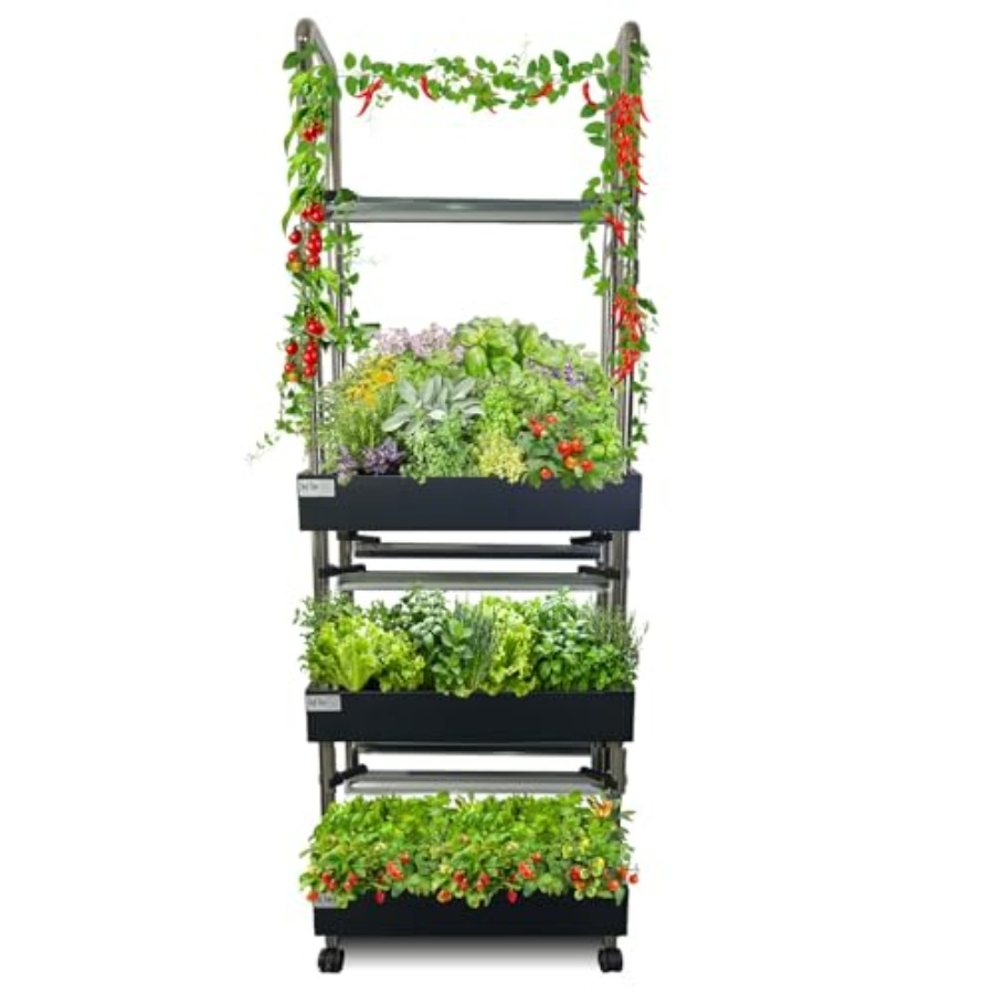 Smart Garden System - System hydroponiczny do uprawy roślin w