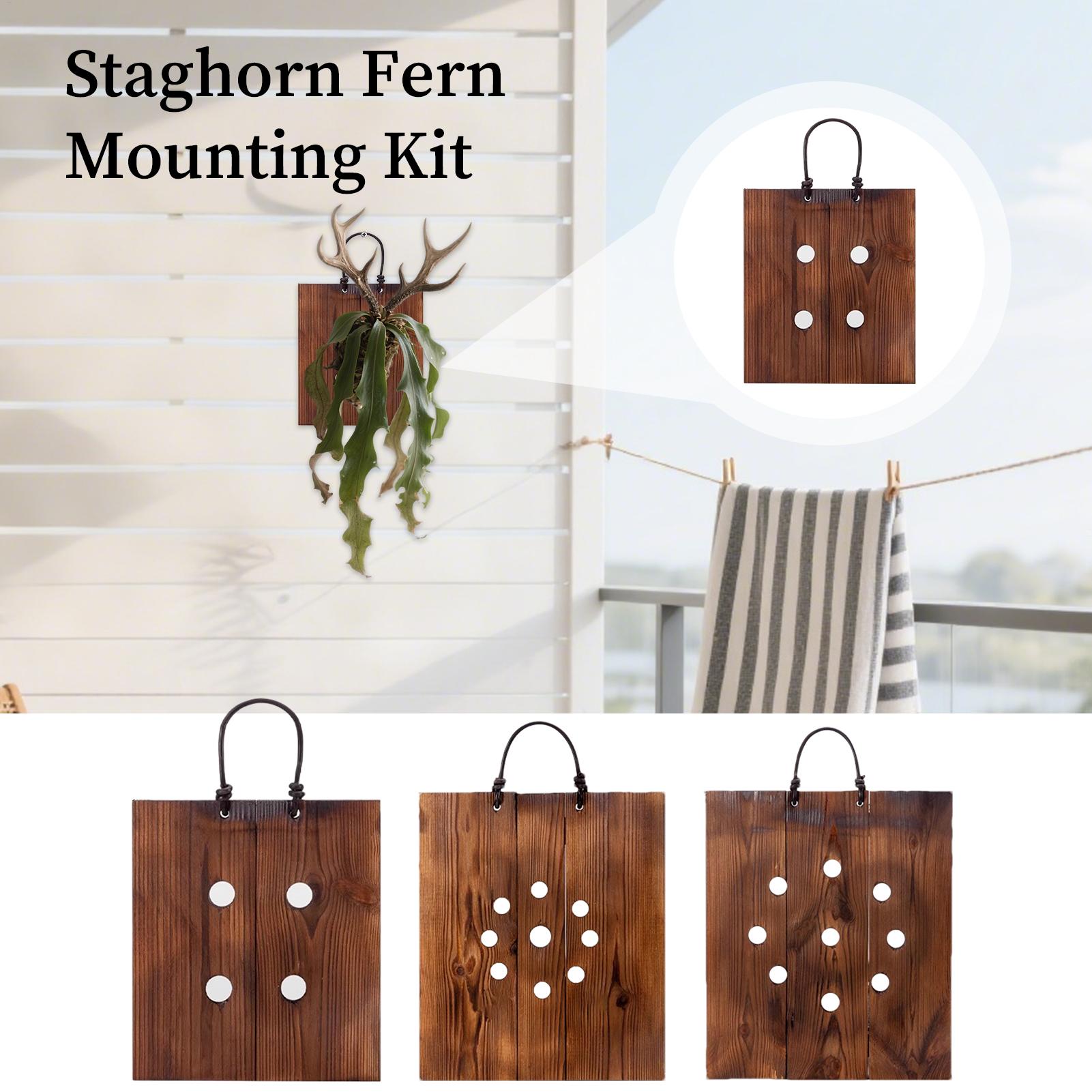 Indoor Garden Kit - Drewniana półka ścienna na paproć Staghorn