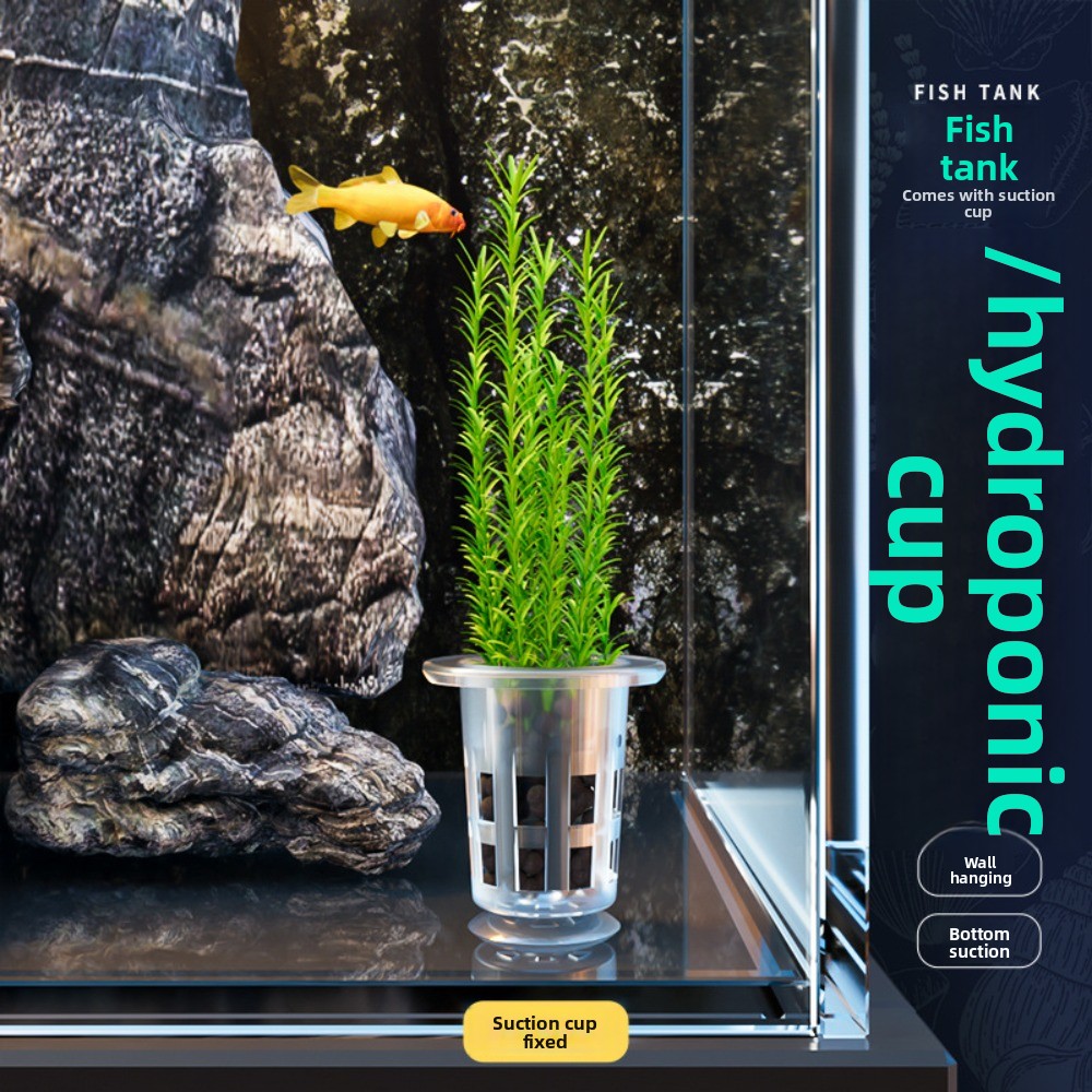 10 szt. Przezroczyste doniczki – Hydroponic Grow Pod recenzja i cena