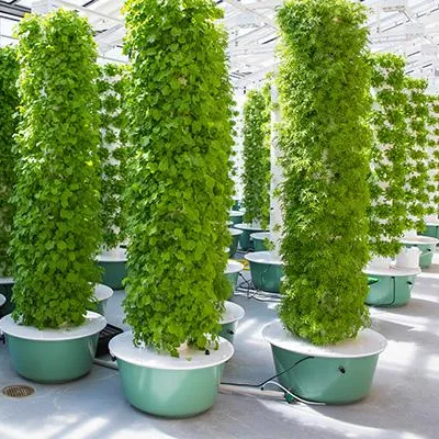 Systemy ogrodnicze aeroponiczn – Hydroponic Tower recenzja i cena