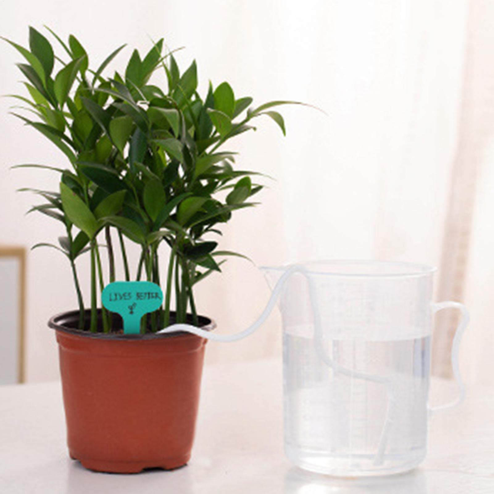 Wkłady do roślin do samodzieln – Self Watering Planter recenzja i cena