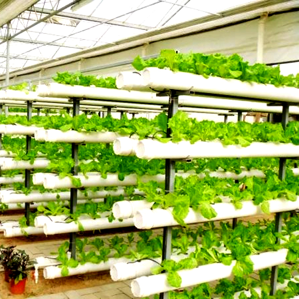 Zewnętrzne hydroponiczne wieże – Hydroponic Tower recenzja i cena