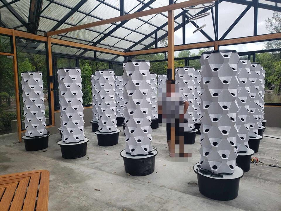 Wertykalna farma szklarniowa,  – Hydroponic Tower recenzja i cena