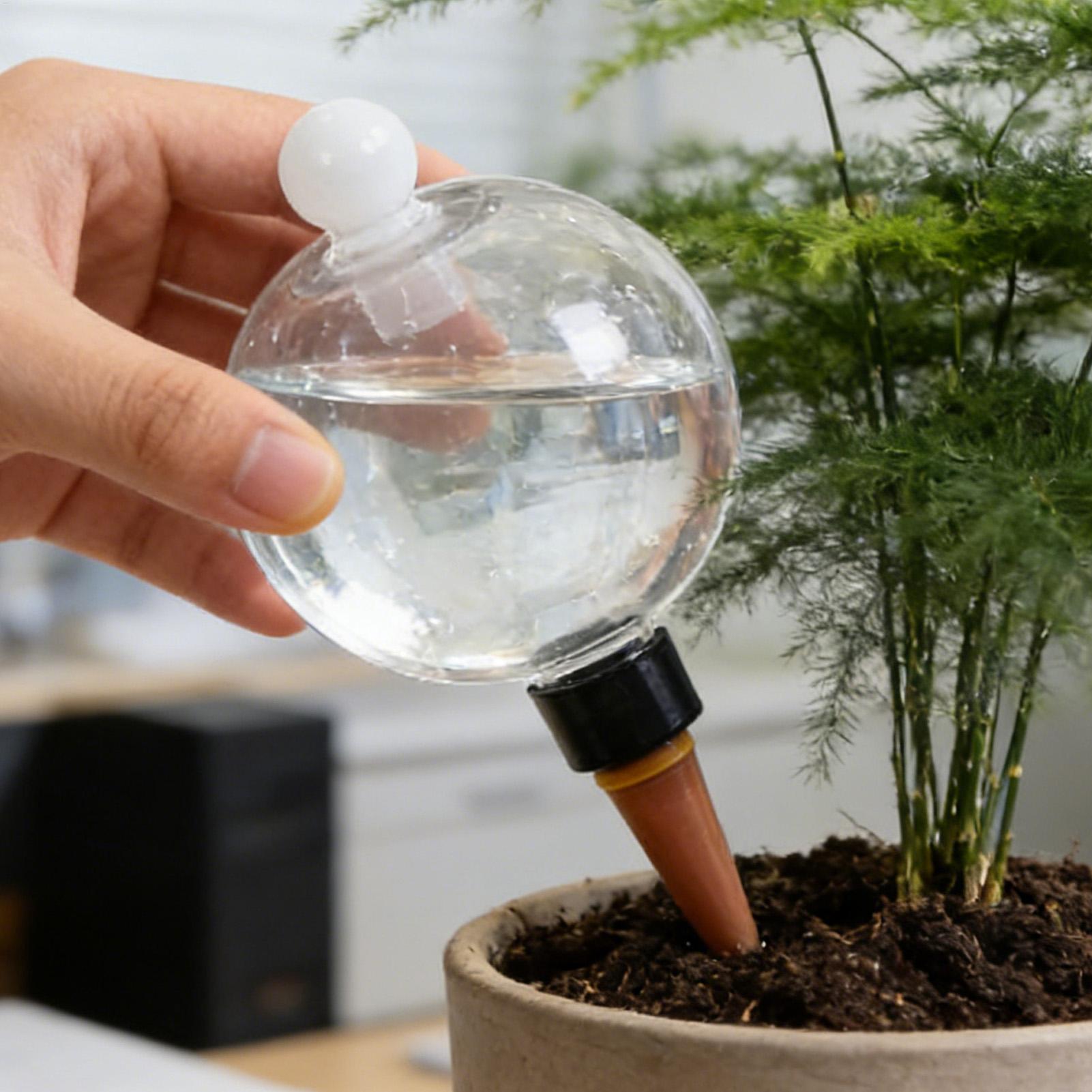 Kule do nawadniania roślin 4 s – Self Watering Planter recenzja i cena