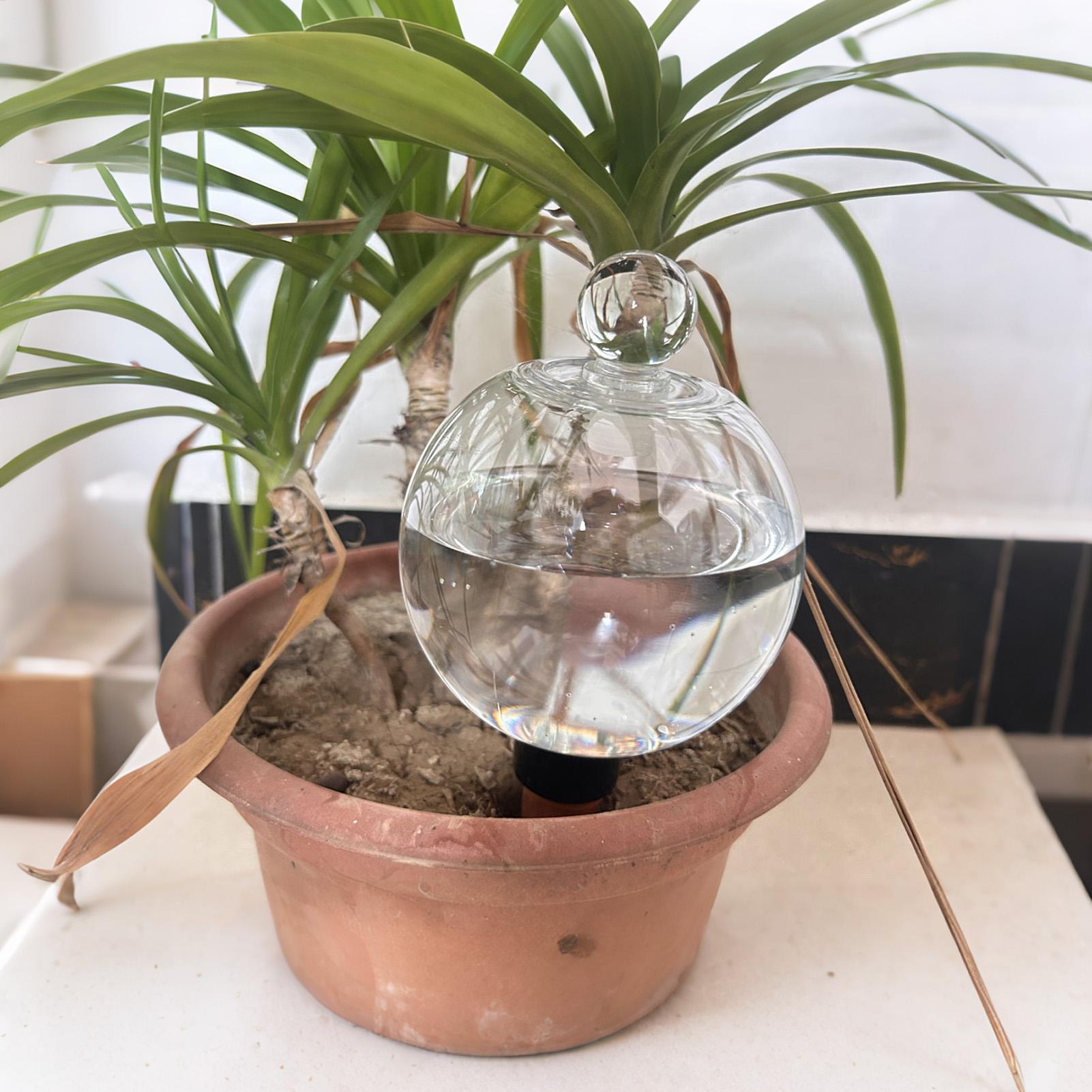 Kule do nawadniania roślin 4 s – Self Watering Planter recenzja i cena