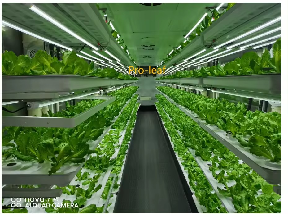 System hydroponiczny wieżowy d – Hydroponic Tower recenzja i cena