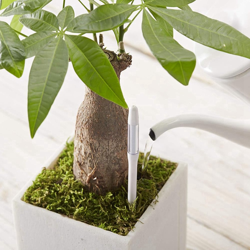 Aquameter, 5 sztuk, czujnik wi – Plant Sensor recenzja i cena