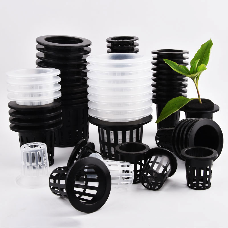 50 sztuk czarno-białych siatko – Hydroponic Grow Pod recenzja i cena