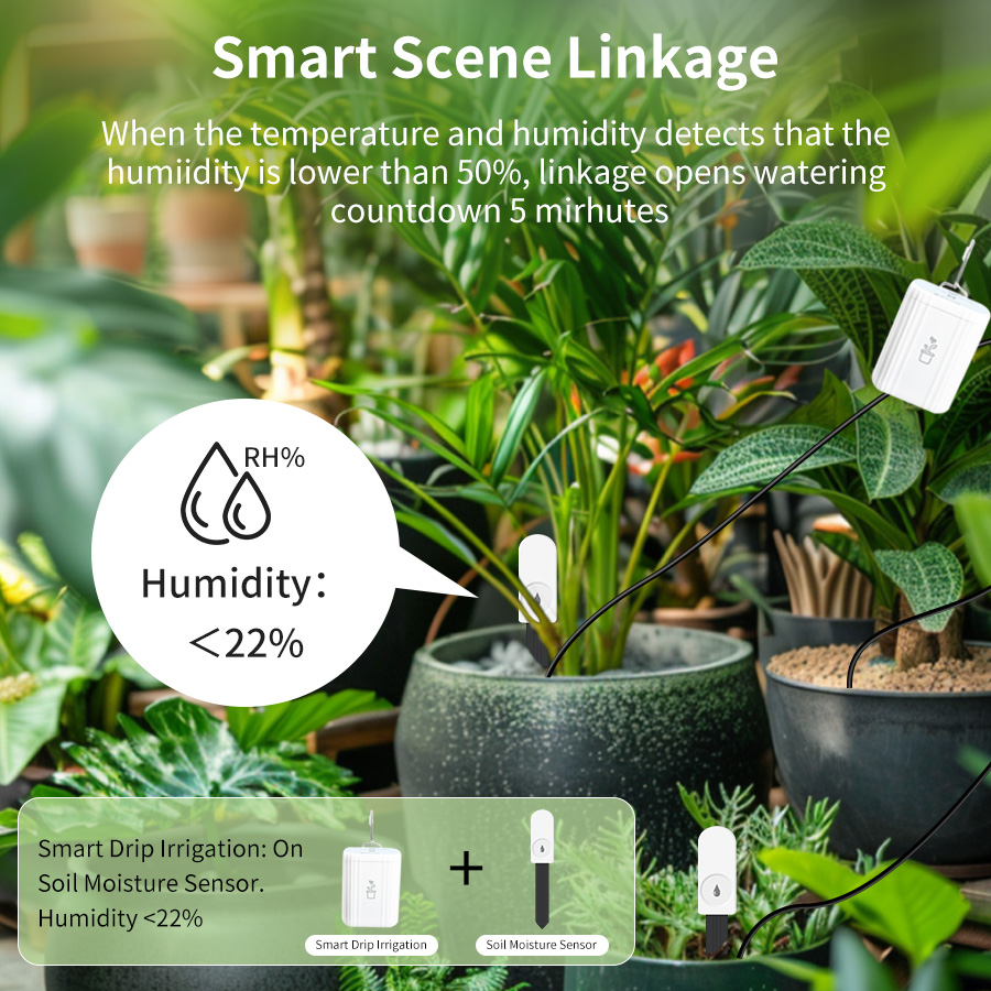 Inteligentny tester gleby Zigb – Plant Monitor recenzja i cena