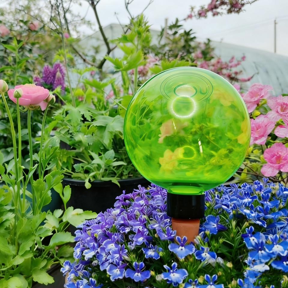 3 szt. Duże plastikowe kule do – Self Watering Planter recenzja i cena
