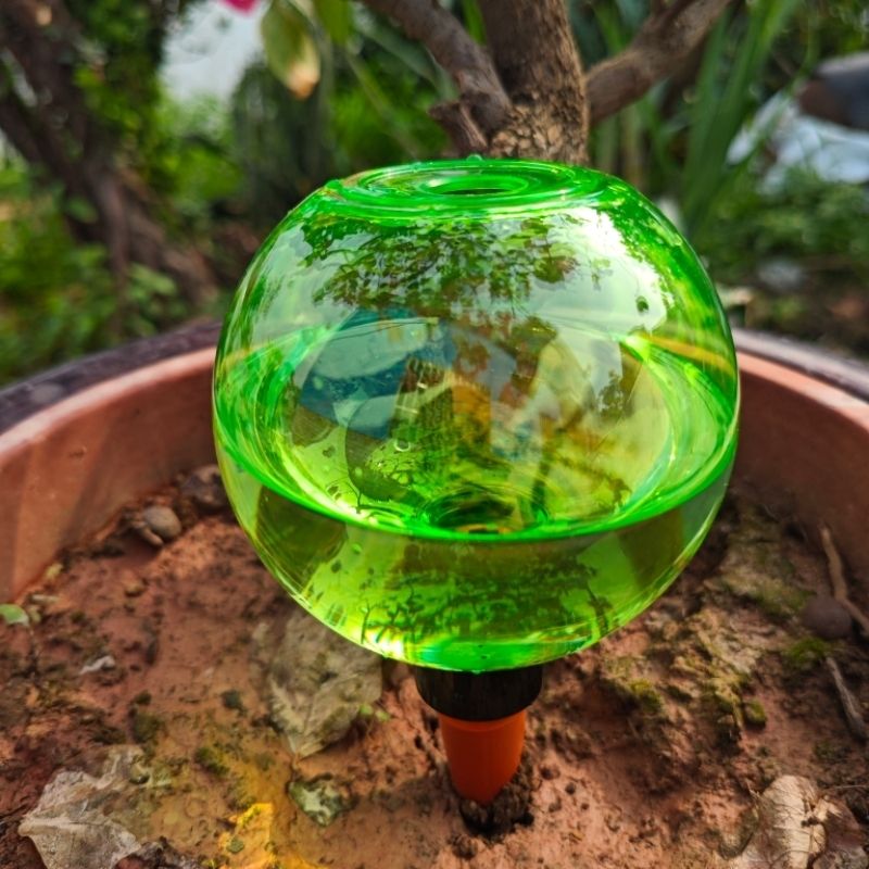 3 szt. Duże plastikowe kule do – Self Watering Planter recenzja i cena