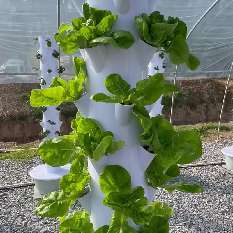 Inteligentna kolumna do uprawy – Hydroponic Tower recenzja i cena